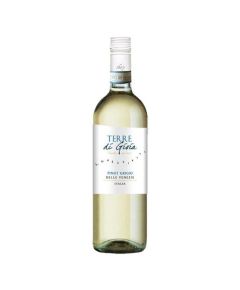 Albino Armani: Terre di Gioia Pinot grigio 2023 száraz fehérbor (Friuli, Olaszország)