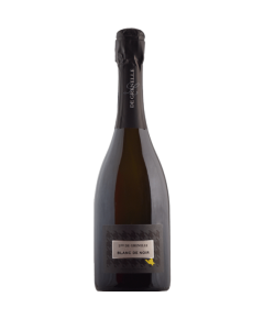 Maison Louis de Grenelle Blanc de Noir Brut Cabernet Franc száraz fehér pezsgő (Loire-völgye, Franciaország)